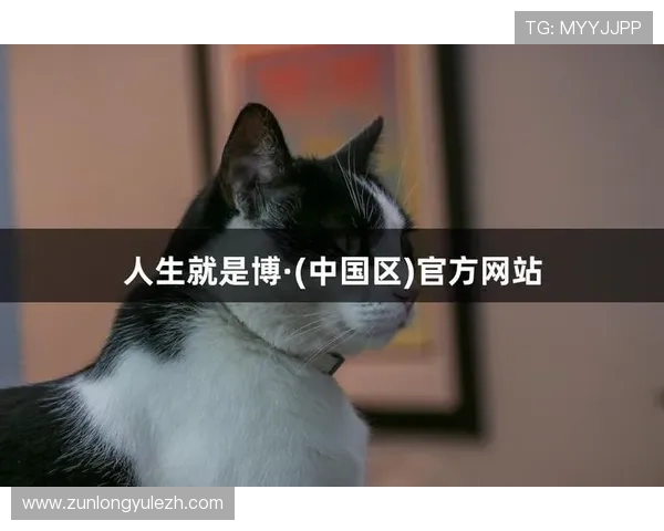 尊龙凯时人生就是博·中国官网详解游戏背景与故事情节深度解析